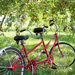 Tandem, tricicli e speciali